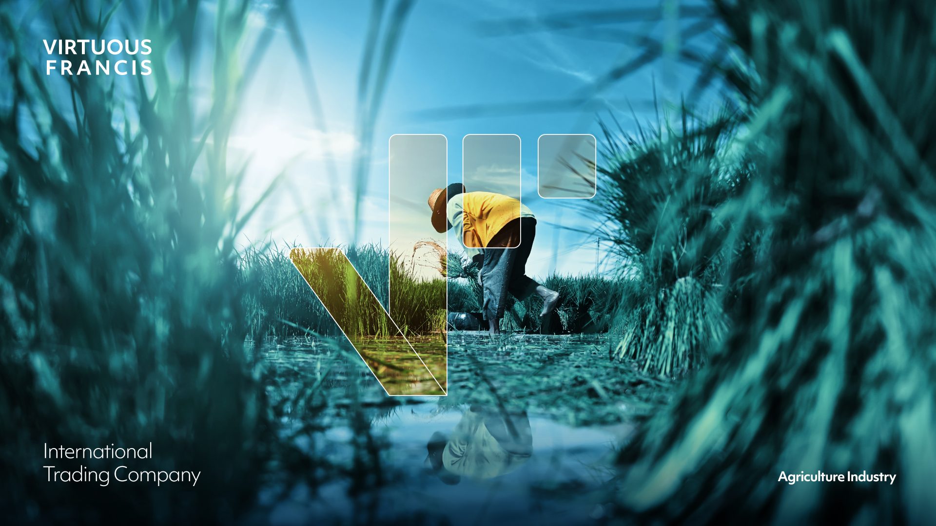 aaqibshah-brand-identity-virtuous-francis